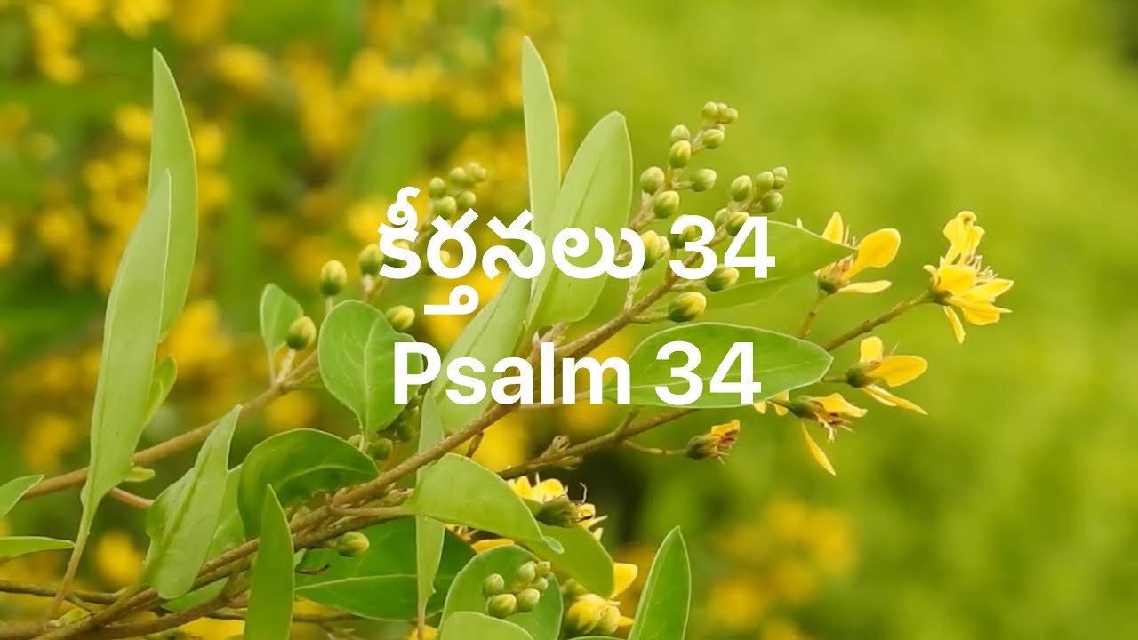 Telugu Bible |  Audio | Psalm 34 | పరిశుద్ధ గ్రంథము | కీర్తనలు 34 | Sravanthi Samson | Sunil Solomon