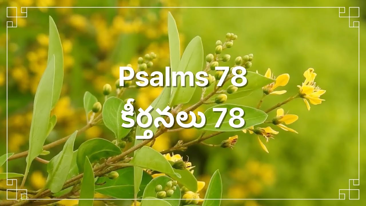 Telugu Bible |  Audio | Psalm 78 | పరిశుద్ధ గ్రంథము | కీర్తనలు 78 | Sravanthi Samson | Sunil Solomon